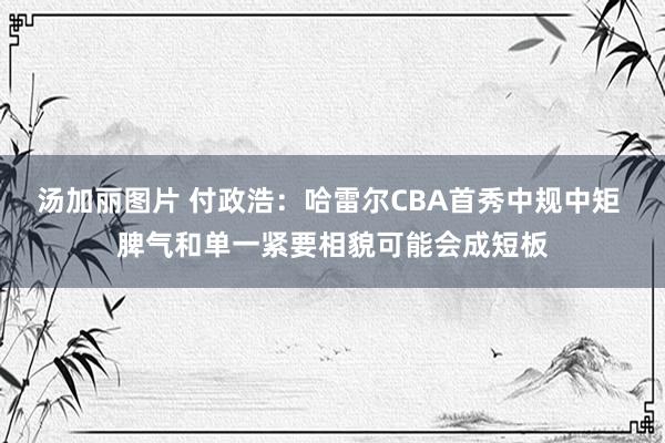 汤加丽图片 付政浩：哈雷尔CBA首秀中规中矩 脾气和单一紧要相貌可能会成短板