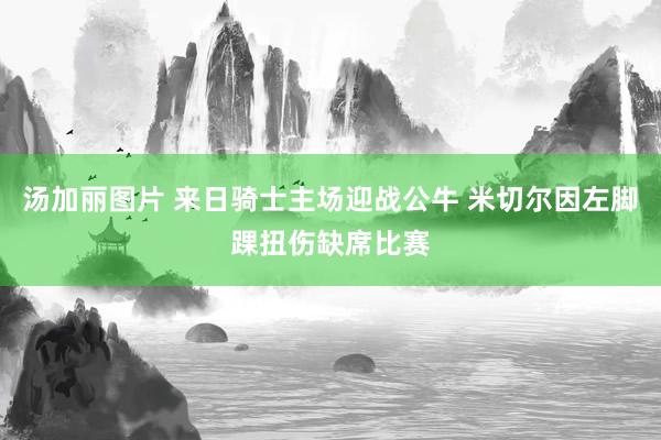 汤加丽图片 来日骑士主场迎战公牛 米切尔因左脚踝扭伤缺席比赛